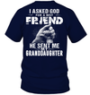 God Sent Me My Granddaughter T-Shirt